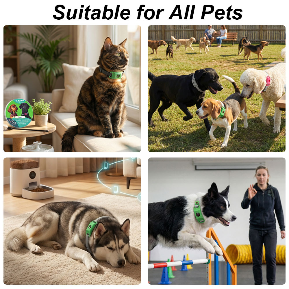 ปลอกคอป้องกันความปลอดภัยสำหรับ - Outdoor Adventure Activities บทวิจารณ์และราคา